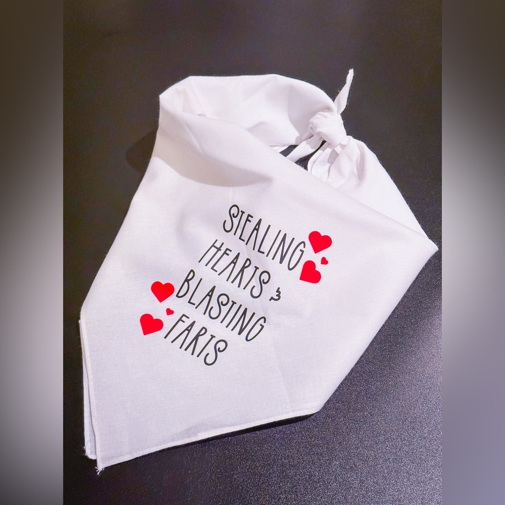 Stealing hearts dog bandanna